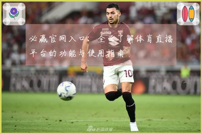 必赢官网入口：全面了解体育直播平台的功能与使用指南