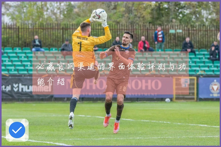 必赢官网渠道的界面体验评测与功能介绍