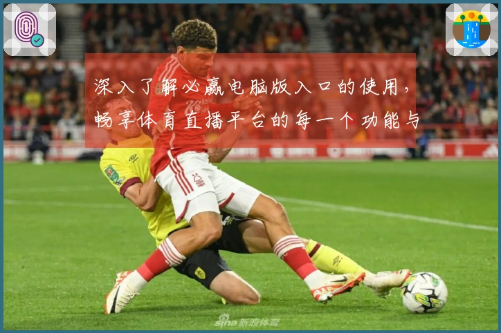 深入了解必赢电脑版入口的使用，畅享体育直播平台的每一个功能与体验