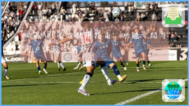 必赢APP平台使用指南：功能介绍与用户体验全解析